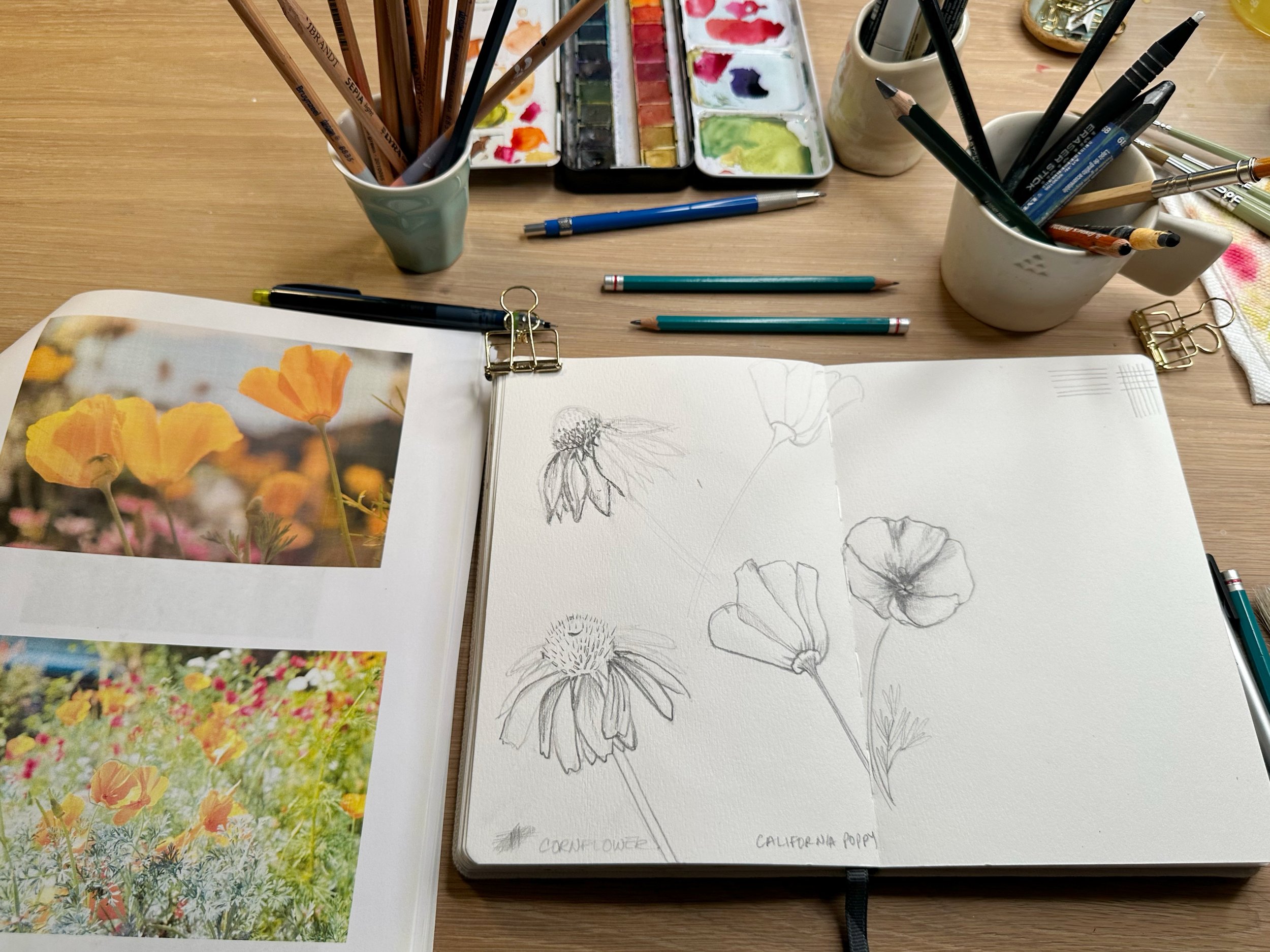 Sketching for Watercolor Painting for Beginners — Nicki Traikos, life i  design